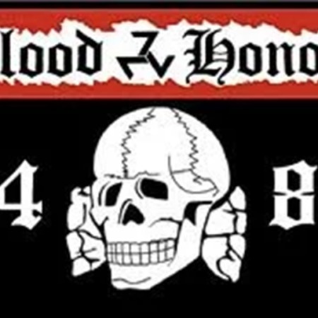 14/88 National Socialist Movement Flag 5ft by 3ft